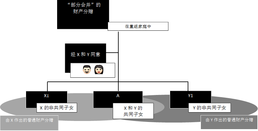 “部分合并”的
财产分赠
,经X和Y同意
,由X作出的普通财产分赠,由Y作出的普通财产分赠,X1,A ,Y1,Y的非共同子女,X和Y的
共同子女
,X的非共同子女, ,在重组家庭中