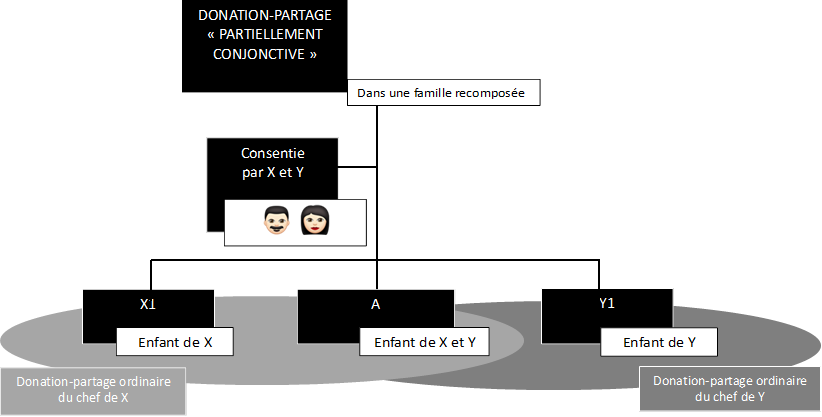 DONATION-PARTAGE
« PARTIELLEMENT CONJONCTIVE »
,Consentie
par X et Y
,Donation-partage ordinaire
du chef de X
,Donation-partage ordinaire
du chef de Y
,X1,A ,Y1,Enfant de Y,Enfant de X et Y,Enfant de X, ,Dans une famille recomposée